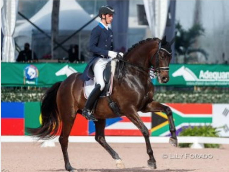 Doughty, Mathews, Simonson Selected for 2021 Discover Dressage Emerging Athlete Euro Tour