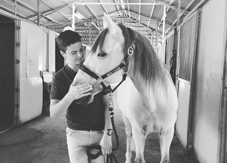 Spotlight on Christian Simonson – Dressage Extensions