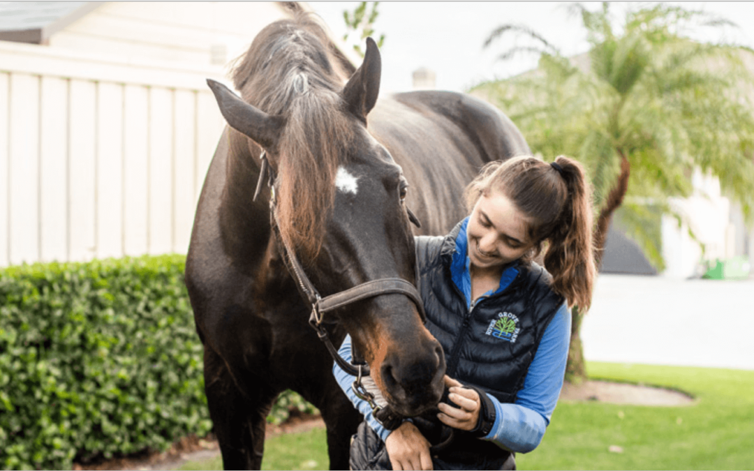 Groom Spotlight: Monica Stanke Relishes Her Role As An Emotional Support Human