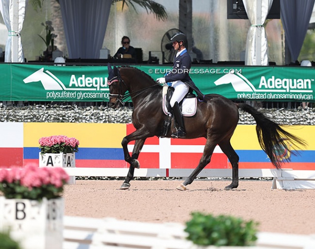 Simonson’s Zeaball Diawind Makes Winning Come Back at 2023 Palm Beach Derby