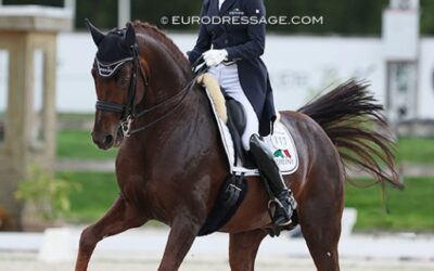 Adelinde Cornelissen’s Fleau de Baian Sold to the U.S.A.