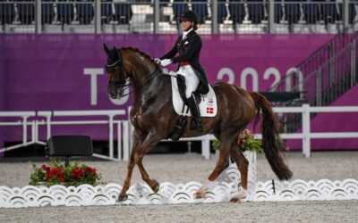 European medallist with Paris 2024 potential heads dazzling new purchases by US buyer